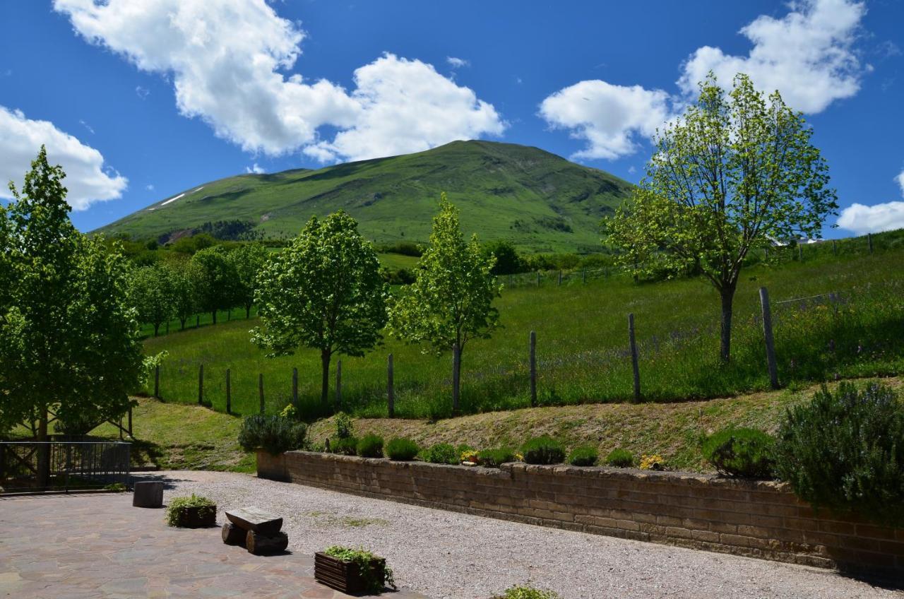 Agriturismo Le Castellare 몬테모나코 외부 사진