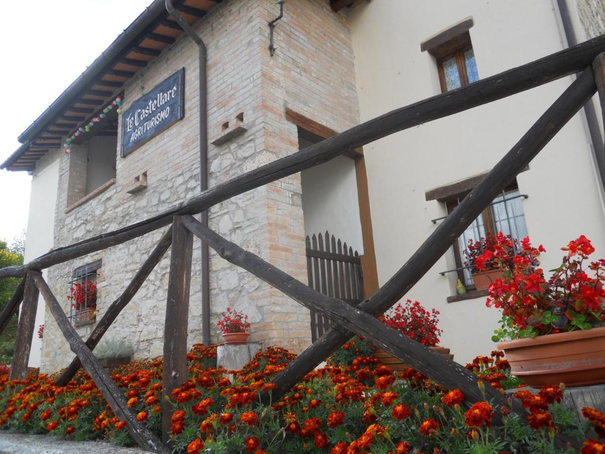 Agriturismo Le Castellare 몬테모나코 외부 사진