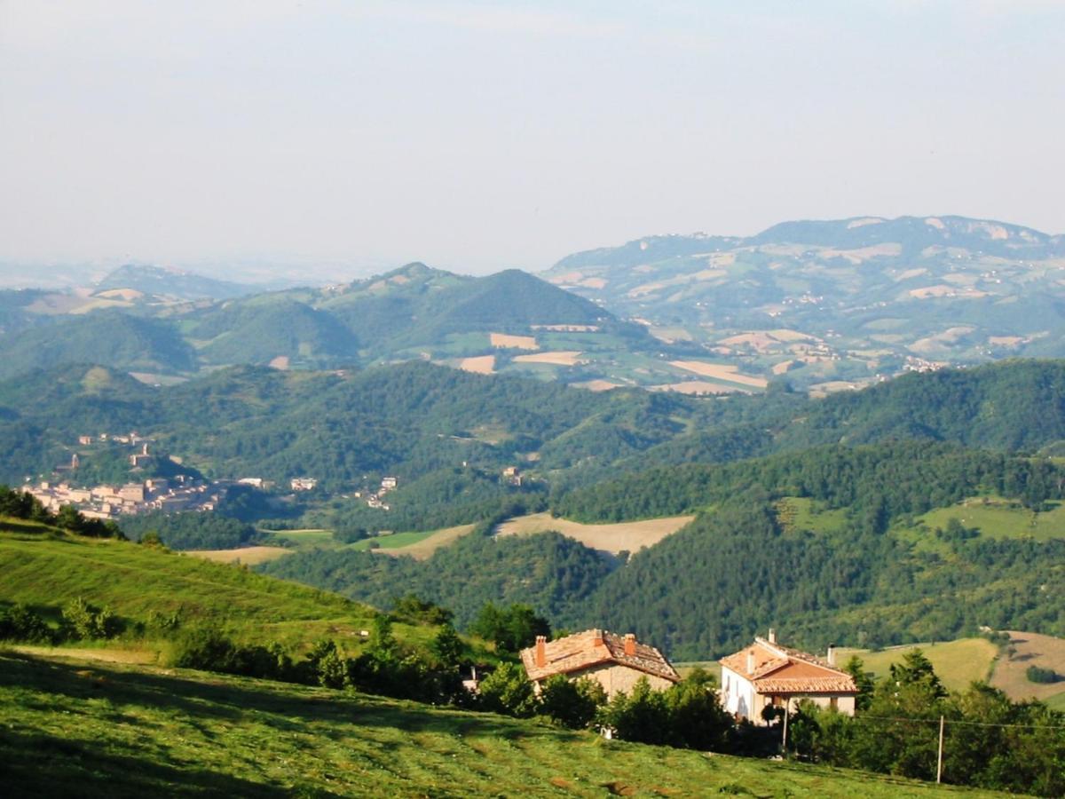 Agriturismo Le Castellare 몬테모나코 외부 사진