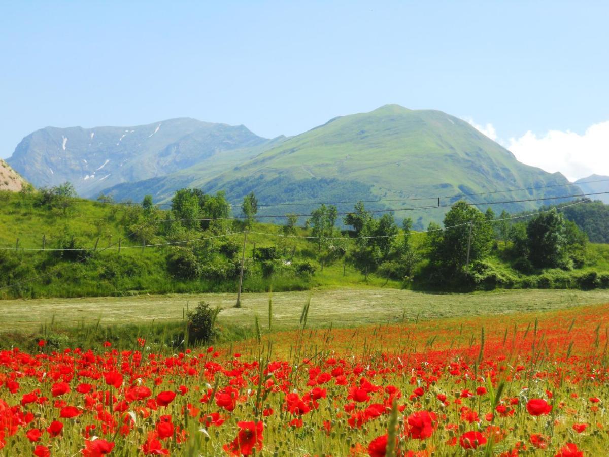 Agriturismo Le Castellare 몬테모나코 외부 사진