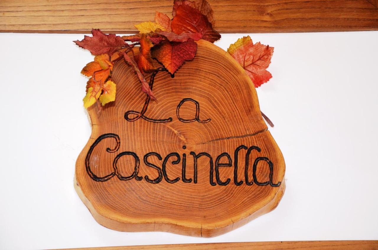 Agriturismo Le Castellare 몬테모나코 외부 사진