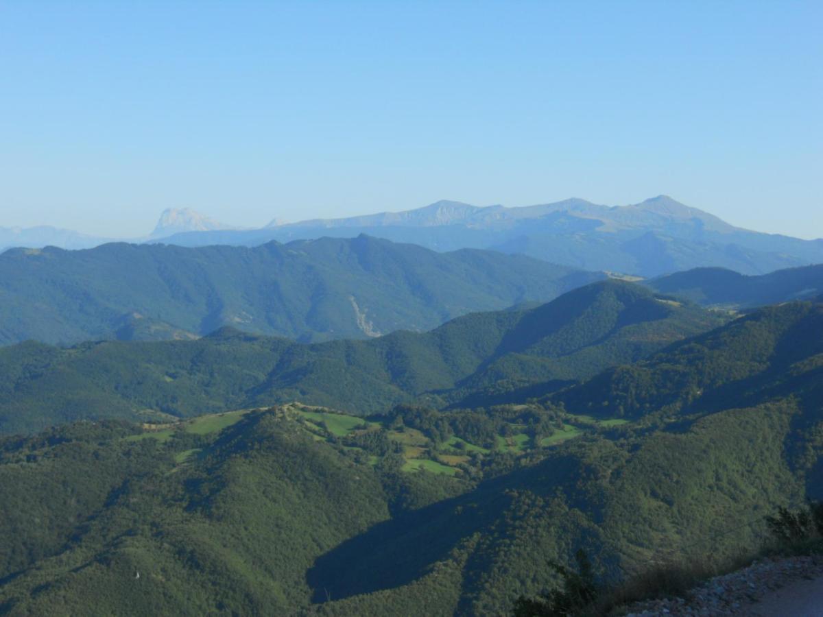 Agriturismo Le Castellare 몬테모나코 외부 사진