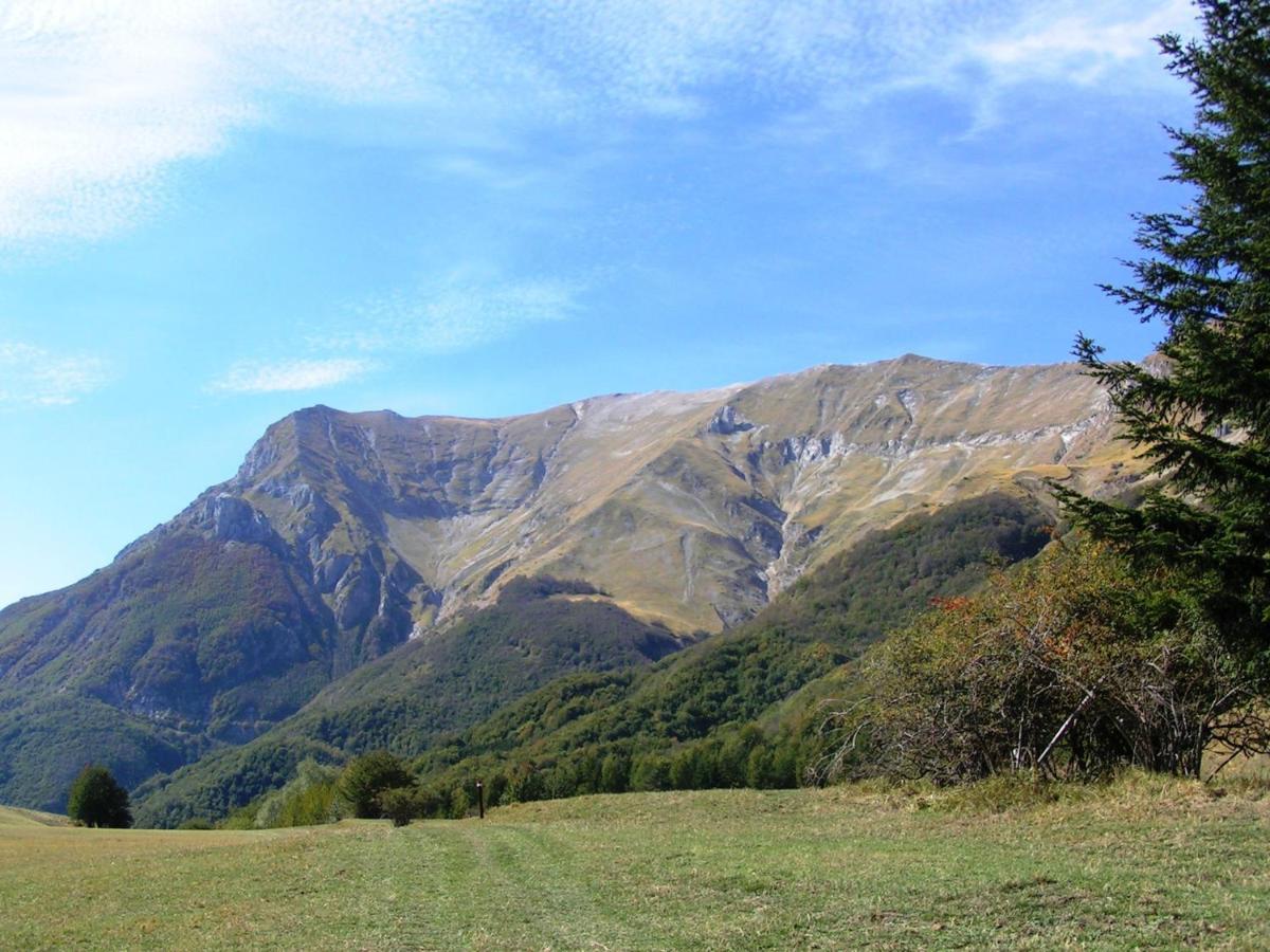 Agriturismo Le Castellare 몬테모나코 외부 사진