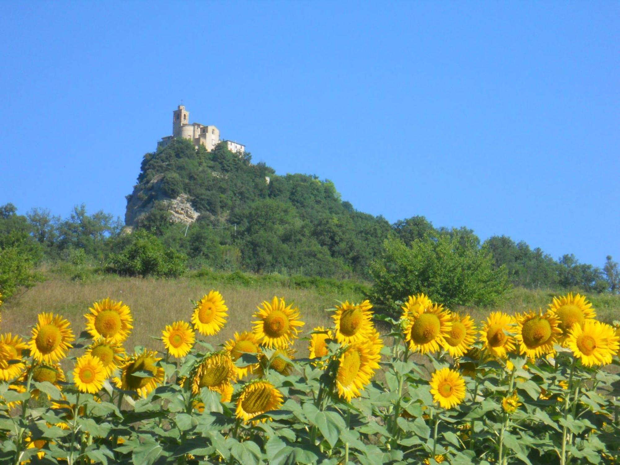 Agriturismo Le Castellare 몬테모나코 외부 사진