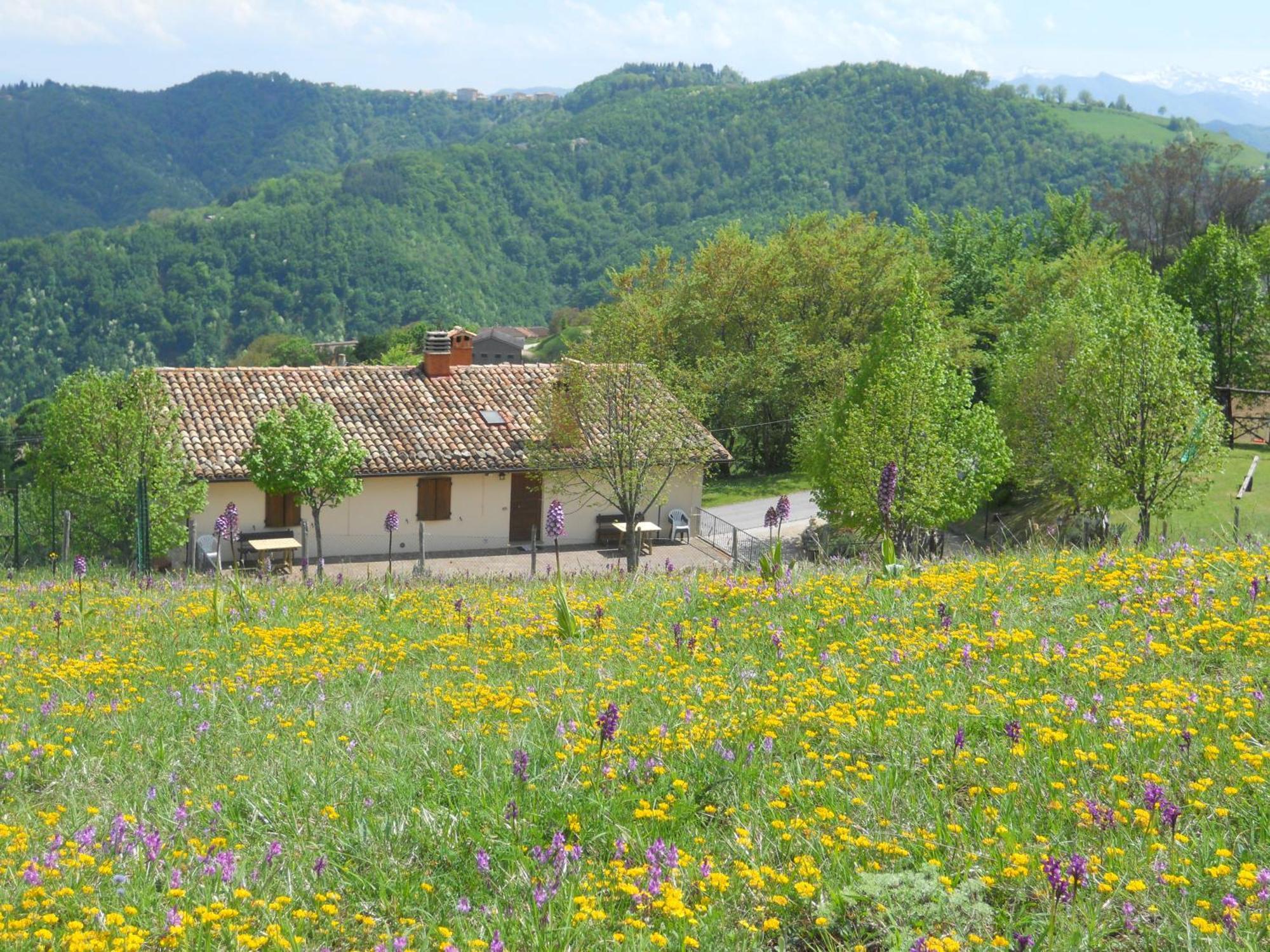 Agriturismo Le Castellare 몬테모나코 외부 사진