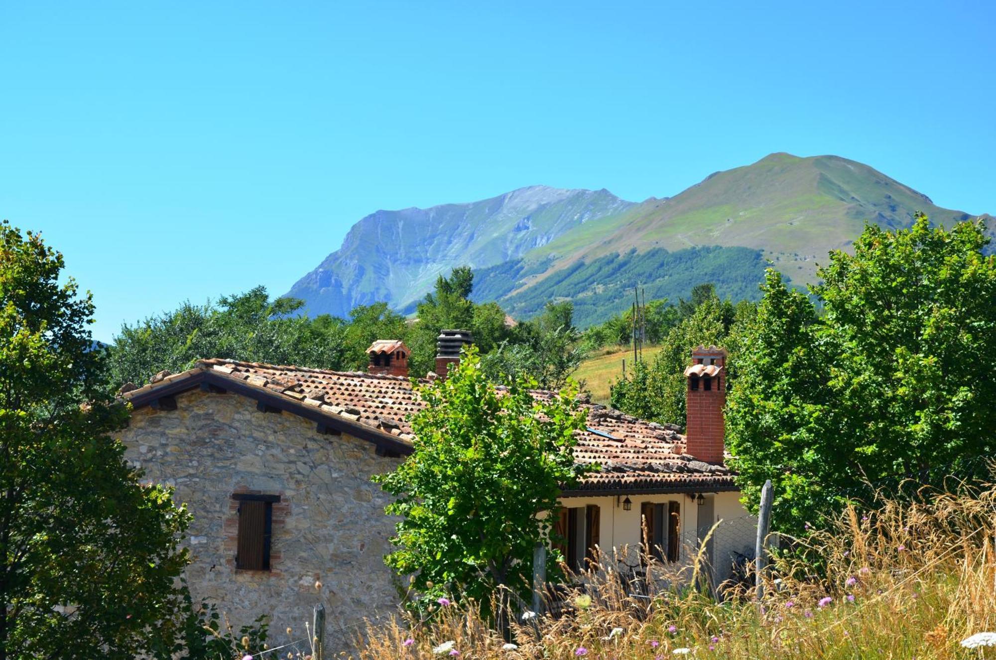 Agriturismo Le Castellare 몬테모나코 외부 사진