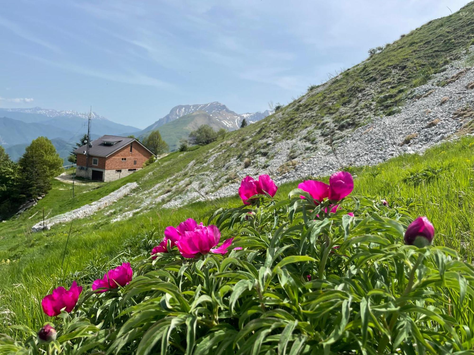 Agriturismo Le Castellare 몬테모나코 외부 사진