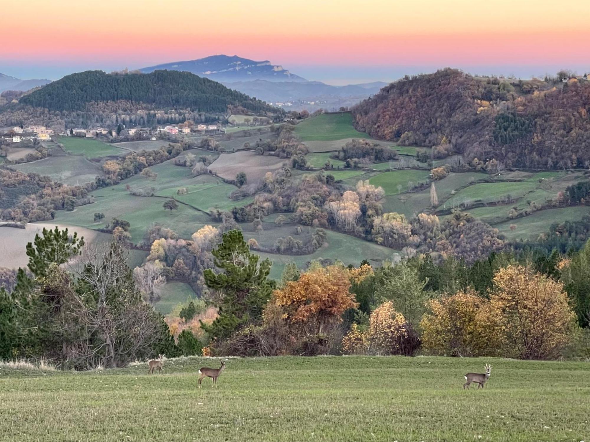 Agriturismo Le Castellare 몬테모나코 외부 사진
