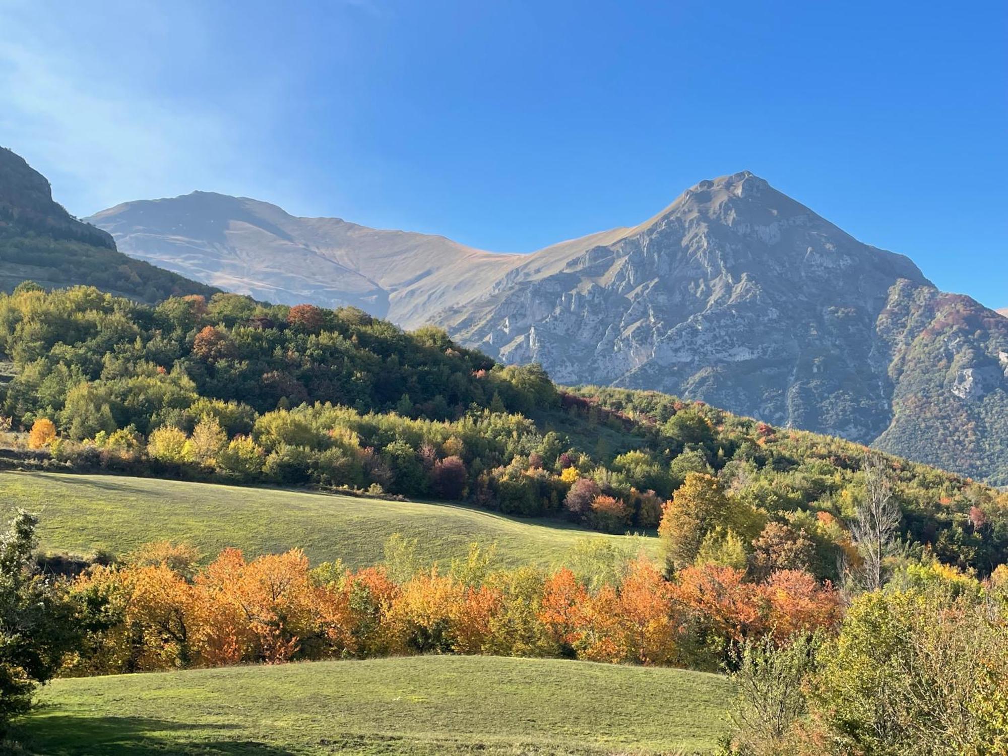 Agriturismo Le Castellare 몬테모나코 외부 사진