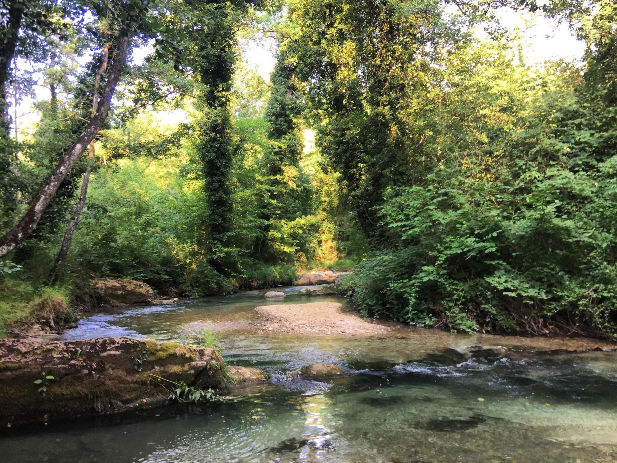 Agriturismo Le Castellare 몬테모나코 외부 사진