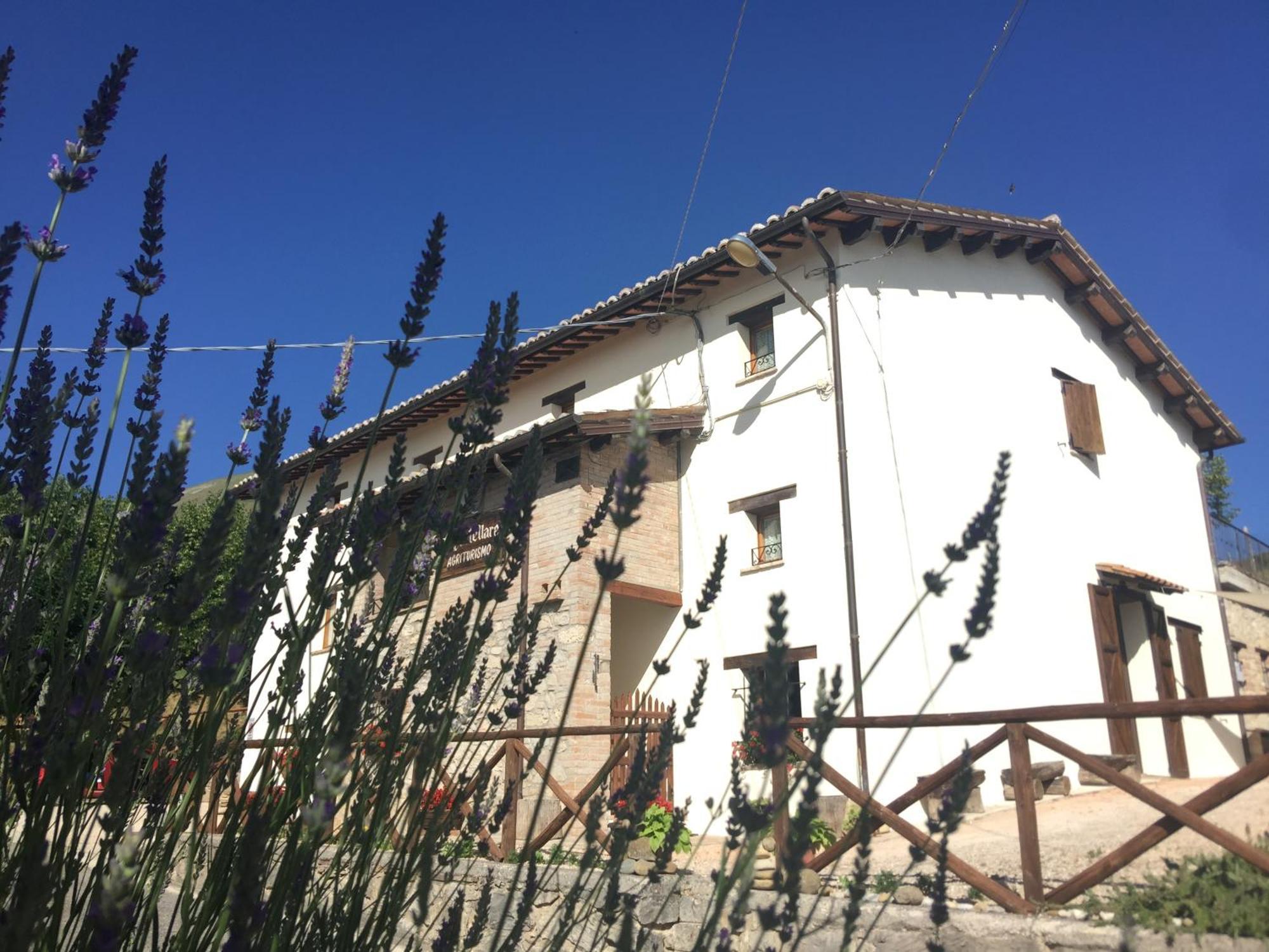 Agriturismo Le Castellare 몬테모나코 외부 사진
