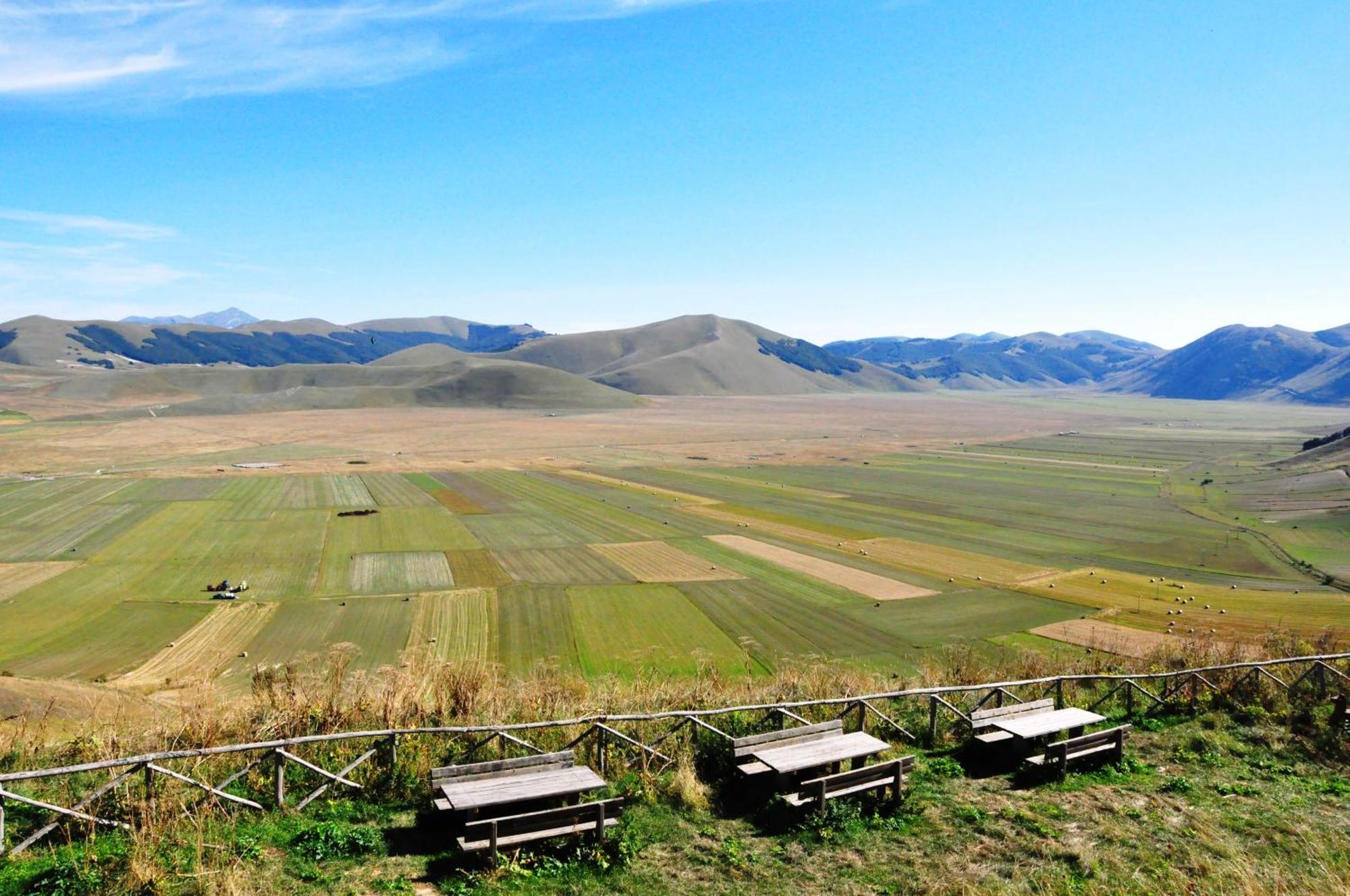 Agriturismo Le Castellare 몬테모나코 외부 사진