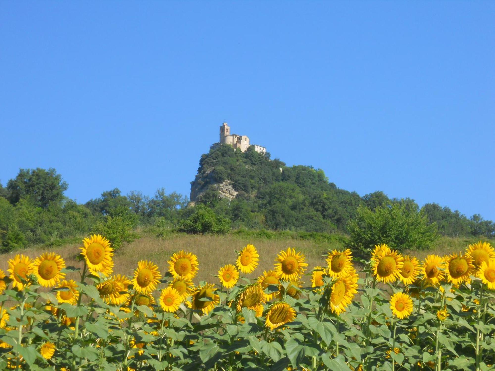 Agriturismo Le Castellare 몬테모나코 외부 사진