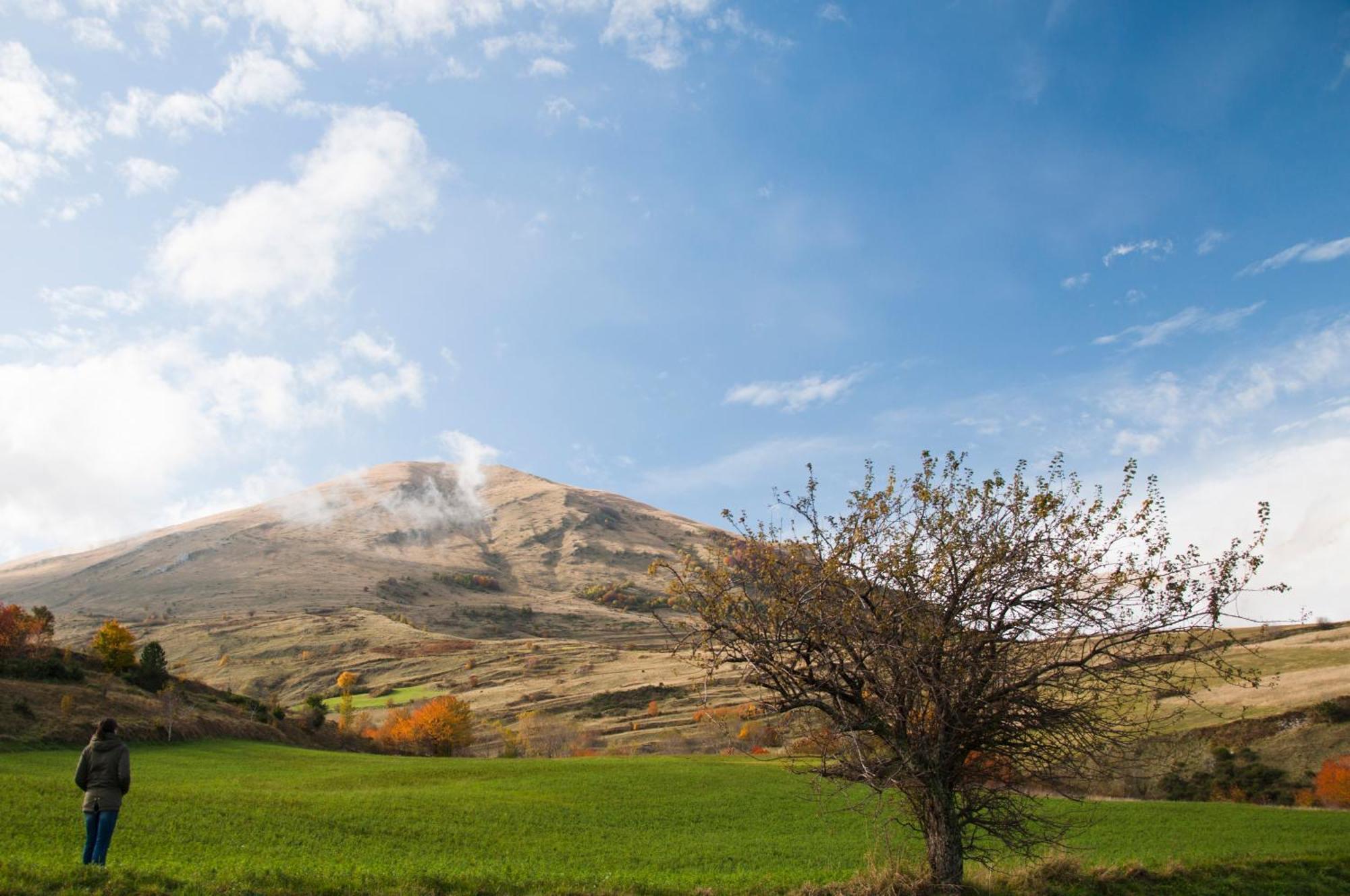 Agriturismo Le Castellare 몬테모나코 외부 사진