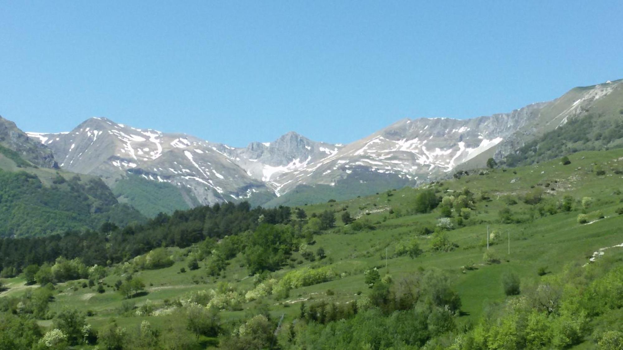 Agriturismo Le Castellare 몬테모나코 외부 사진